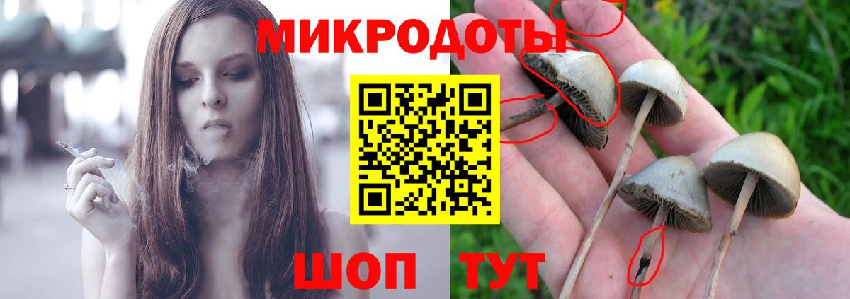 Псилоцибиновые грибы мицелий Миллерово